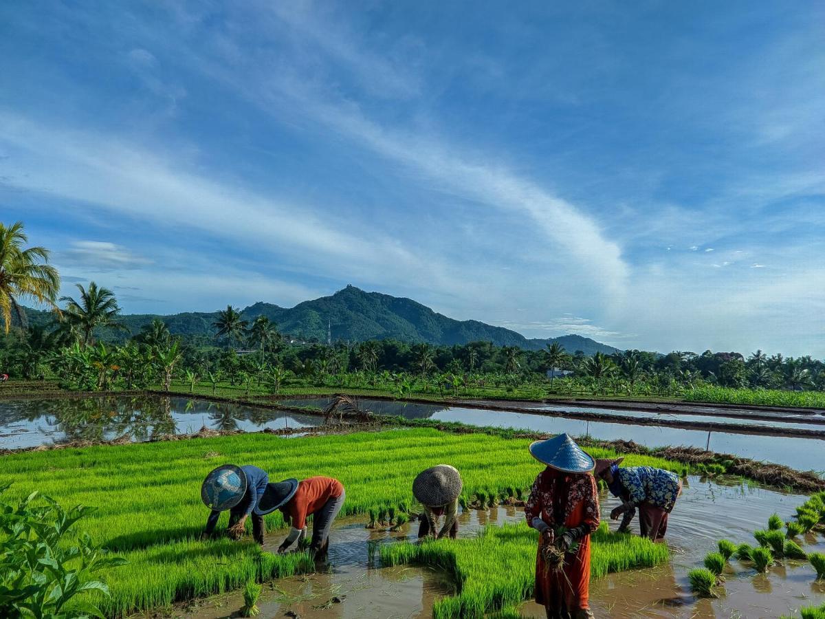 Farmstay Manangel Sindanglaka Bagian luar foto