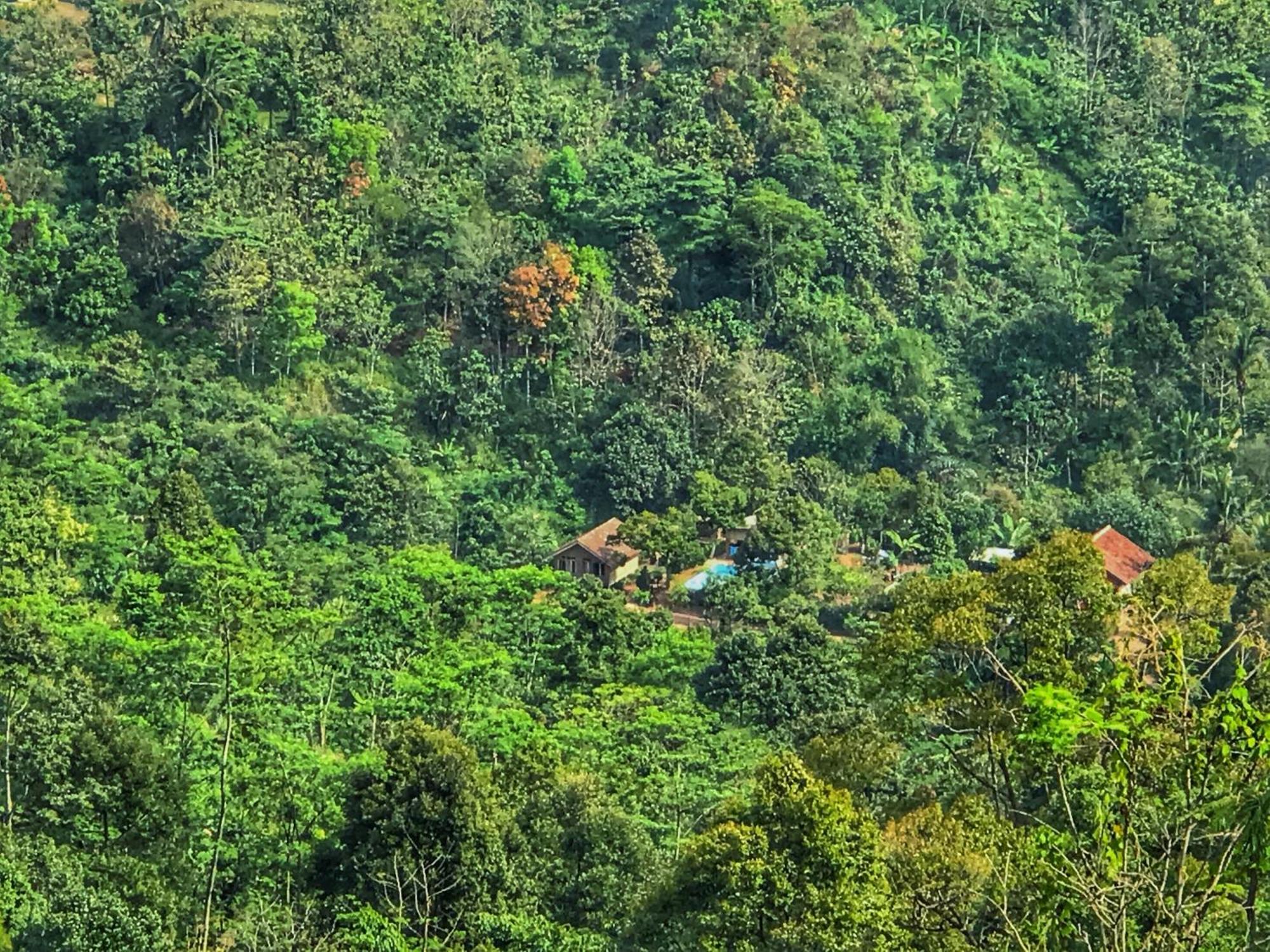 Farmstay Manangel Sindanglaka Bagian luar foto